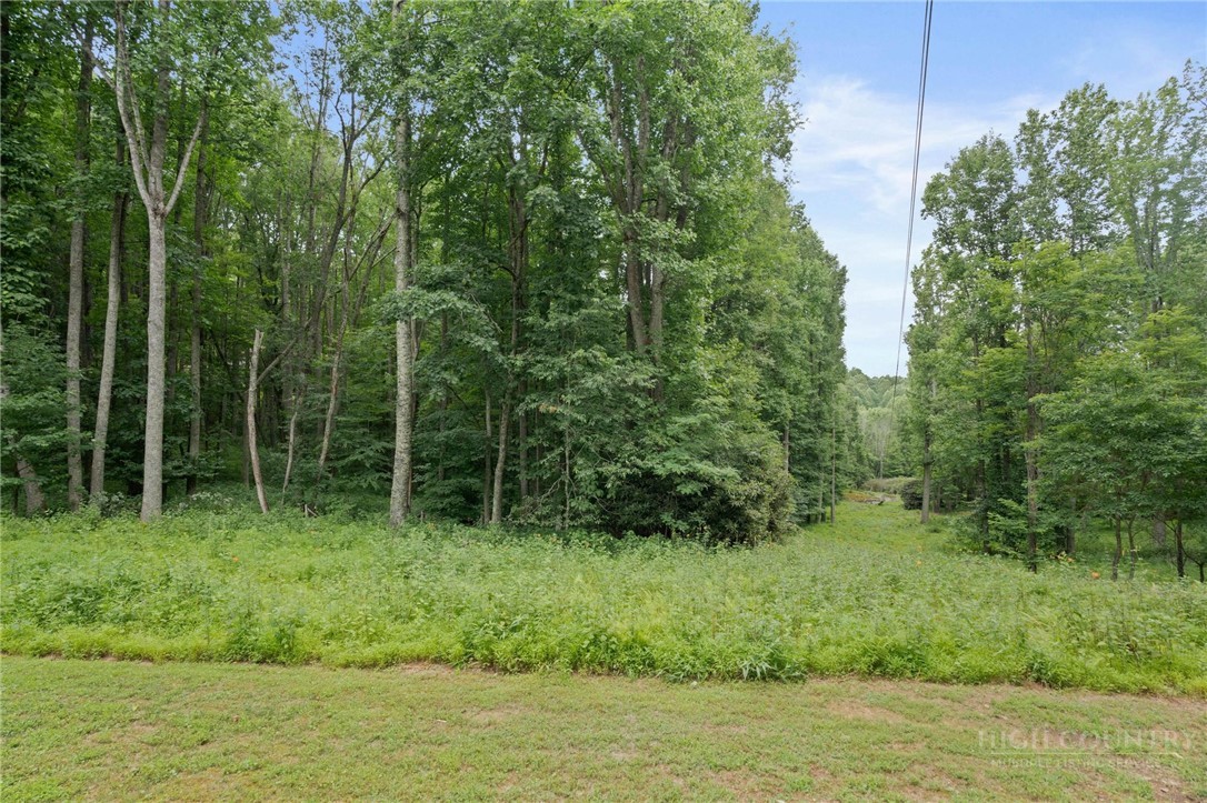 165 John Dotson Road Boone, NC 28607 - Photo 27 of 28