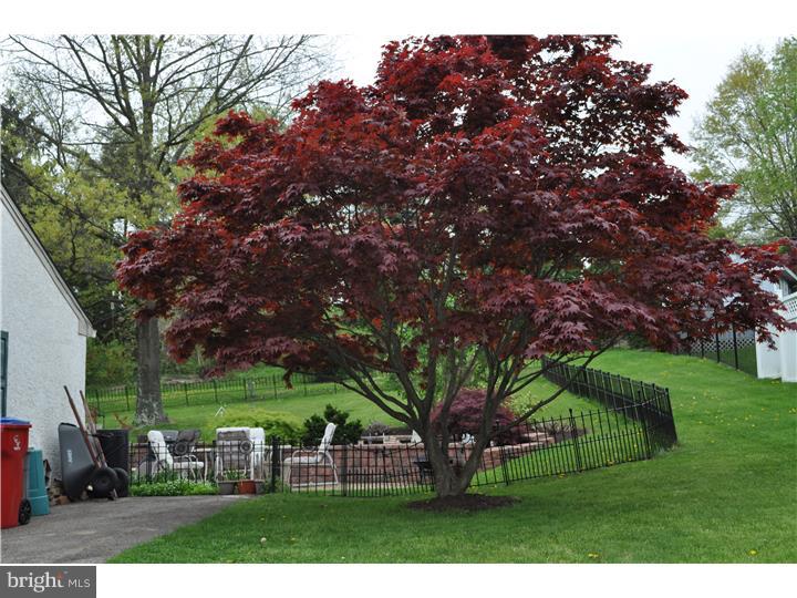 110 Harry Road Eagleville, PA 19403 - Photo 21 of 21 Gallery Image 21