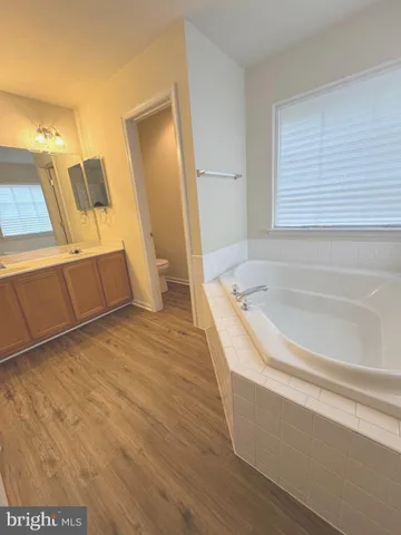 a bathroom with a tub a sink and a mirror