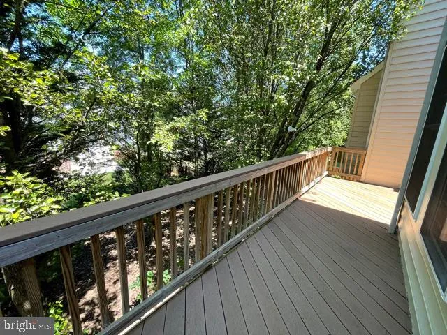 a view of a tree in a yard