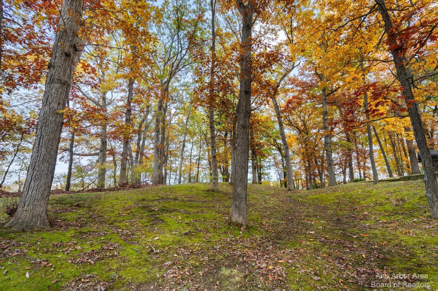 4100 Valentine Road Whitmore Lake, MI 48189 - Photo 85 of 89 Photo 86