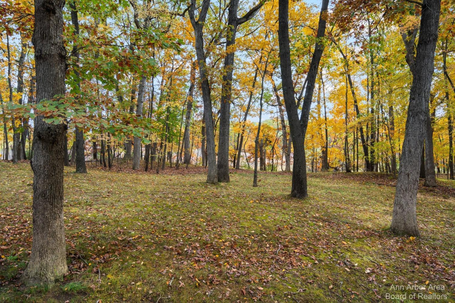 4100 Valentine Road Whitmore Lake, MI 48189 - Photo 87 of 89 Photo 88