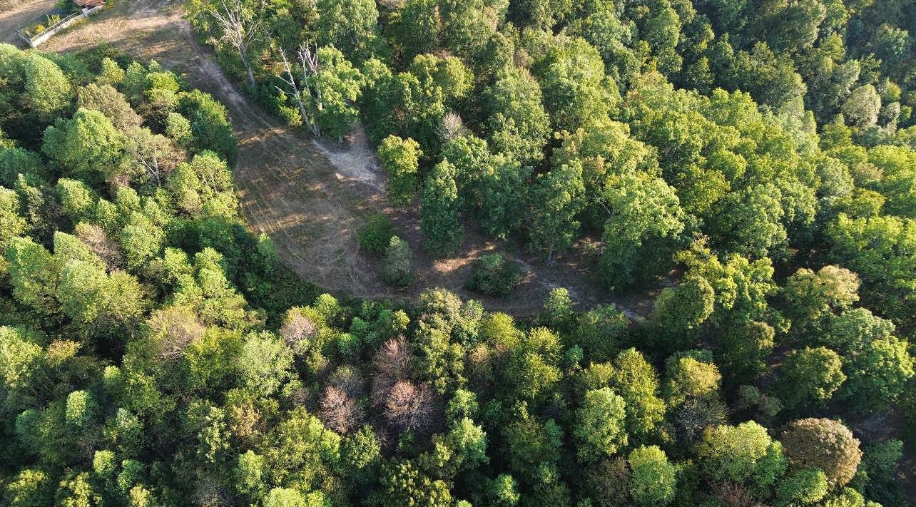 0 Beauty Ridge Road South Shore, KY 41175 - Photo 10 of 13