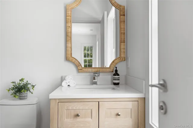 a bathroom with a sink a mirror and a potted plant