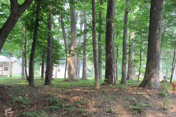 $10,000 | 1998 Mayflower Drive, Unit 1998, Greenbackville, VA 23356