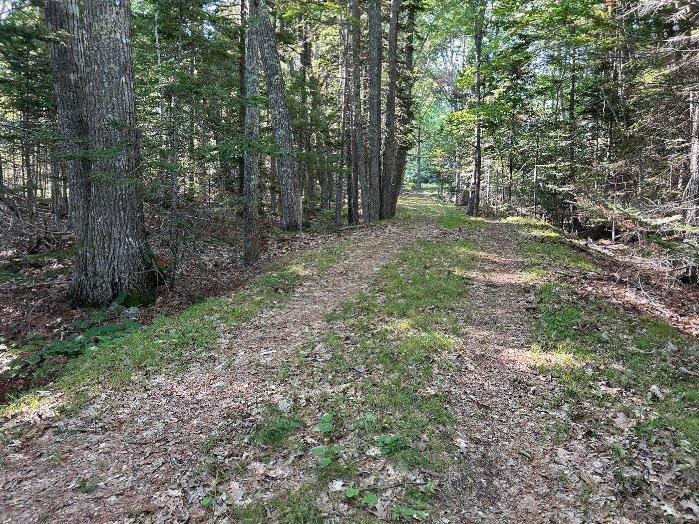 992 Surry Road Surry, ME 04684 - Photo 5 of 10 W6-ME2618_5