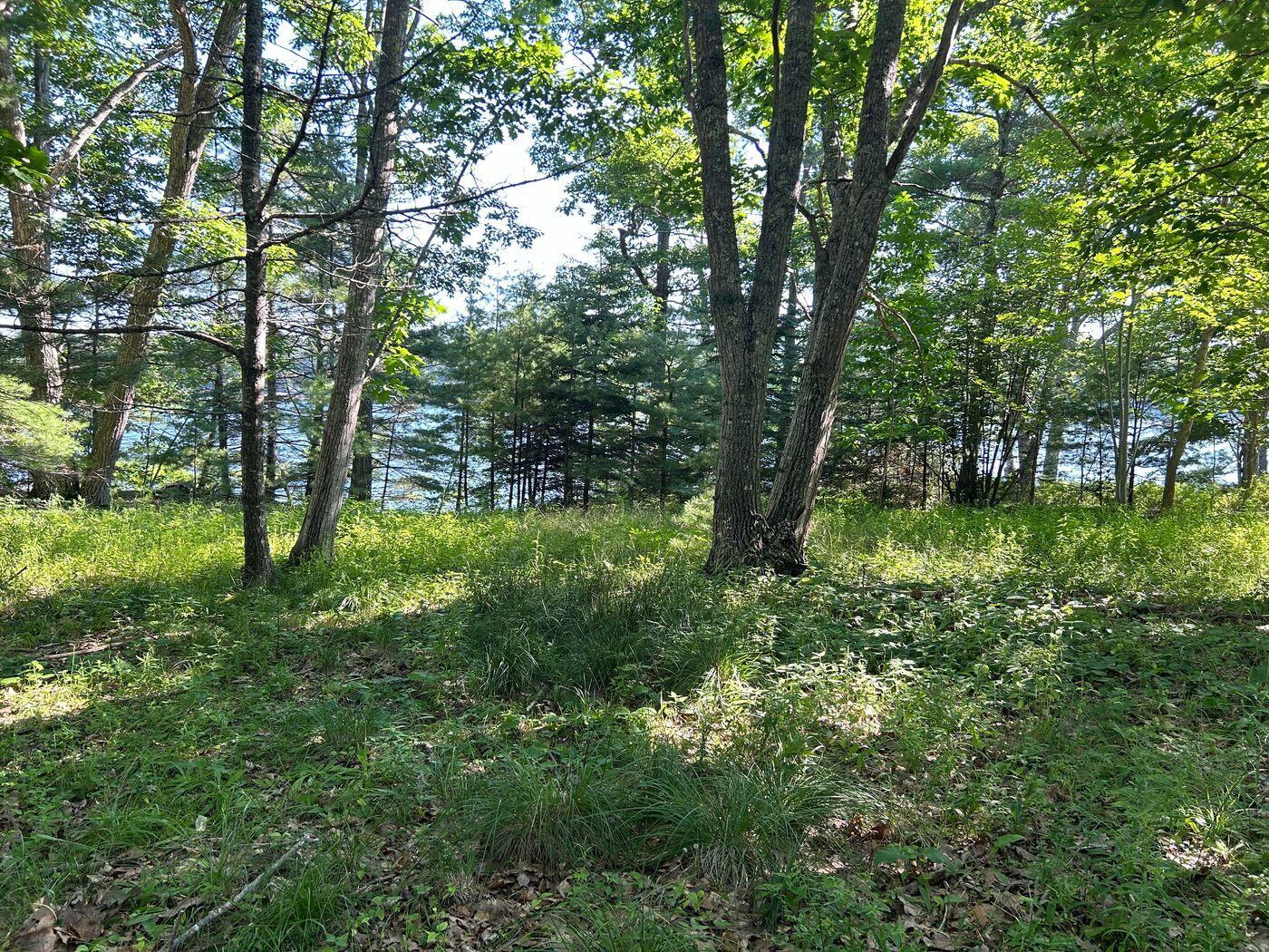 992 Surry Road Surry, ME 04684 - Photo 7 of 10 W8-ME2618_7