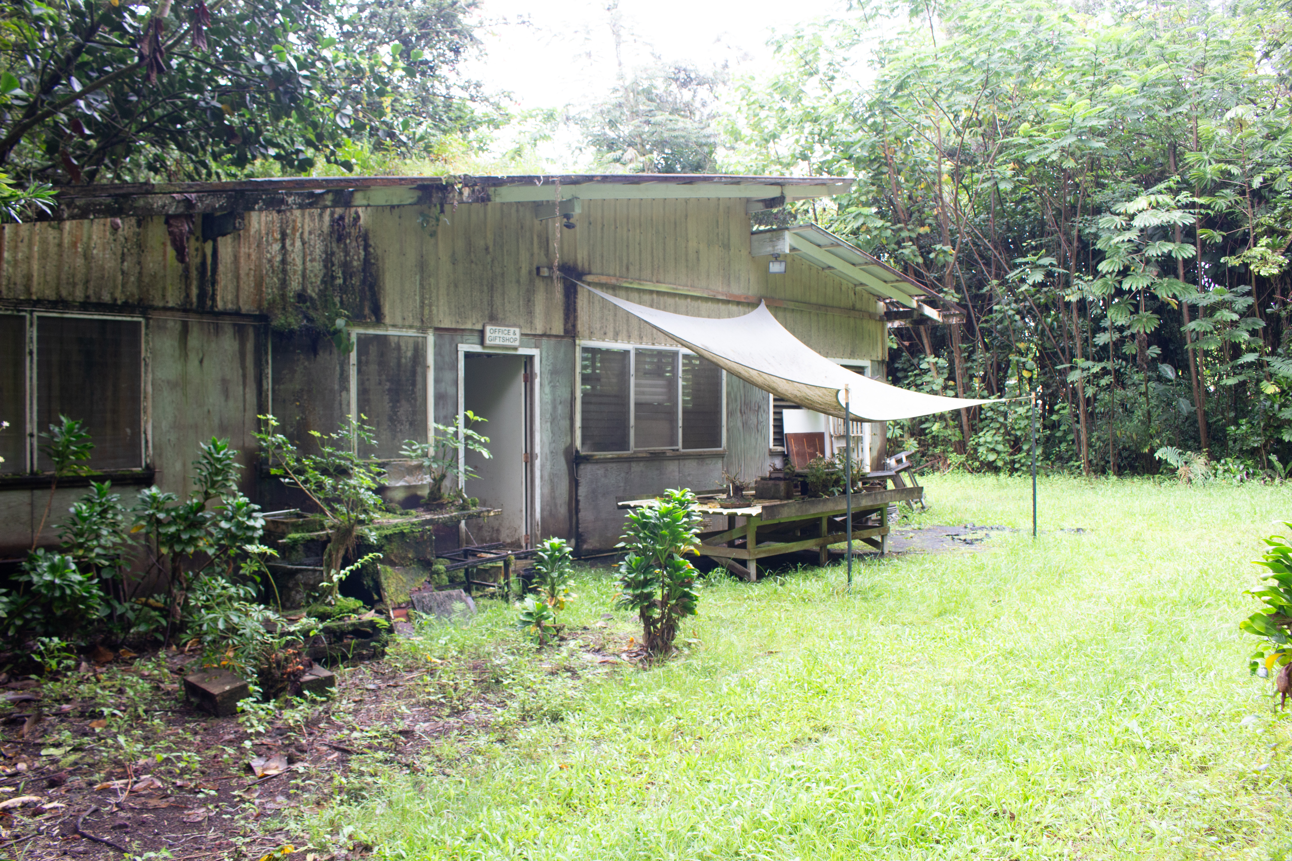 17-856-a Ola'a Road Kurtistown, HI 96760 - Photo 11 of 20 a view of backyard with table and chairs and potted plants