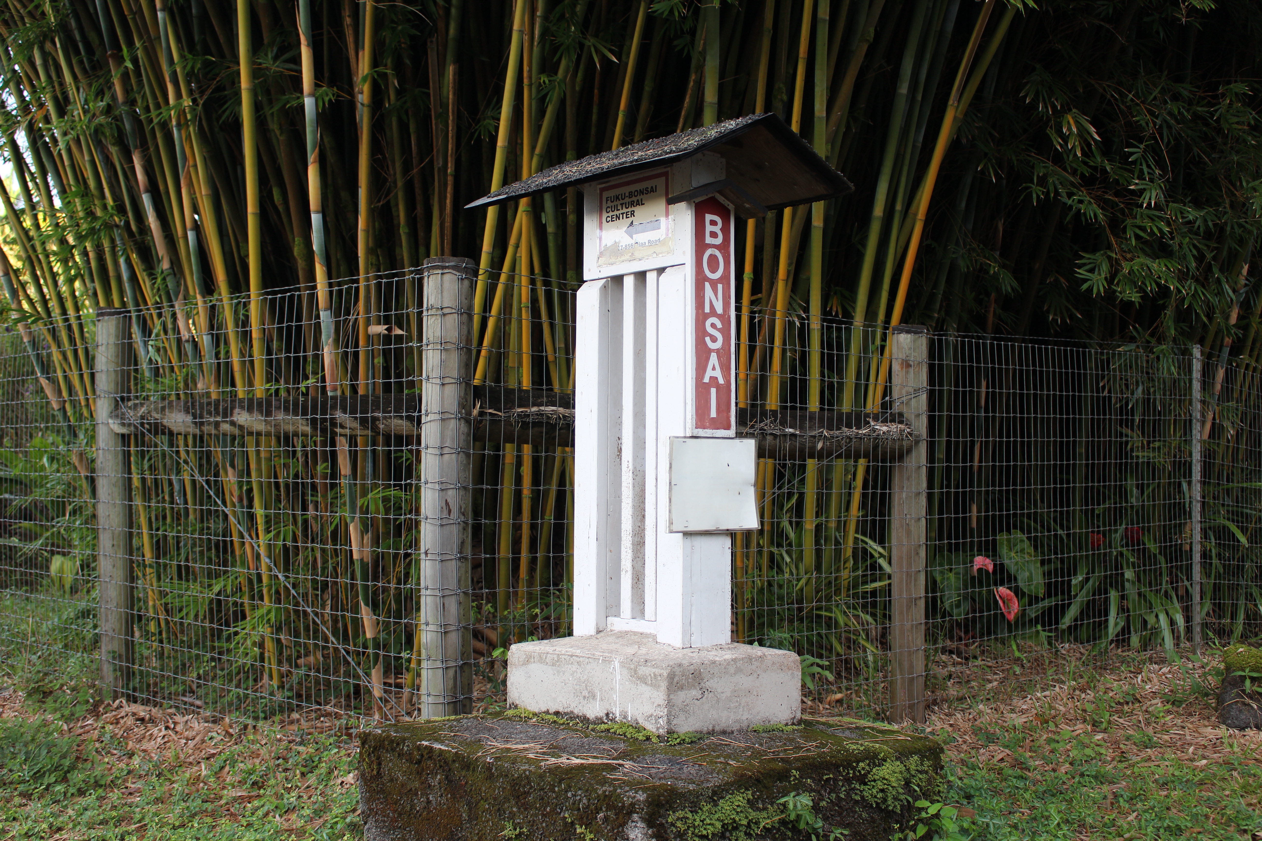 17-856-a Ola'a Road Kurtistown, HI 96760 - Photo 2 of 20 a view of a house with a small porch