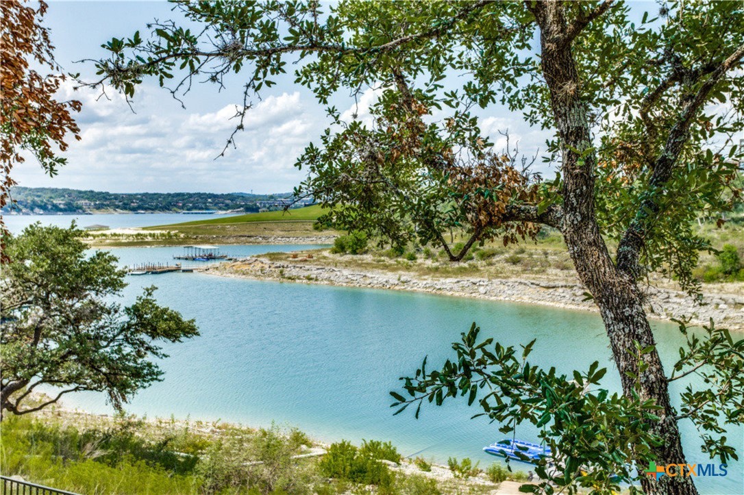 1307 Osprey Ridge Loop Lago Vista, TX 78645 - Photo 39 of 40 a view of a lake with a tree