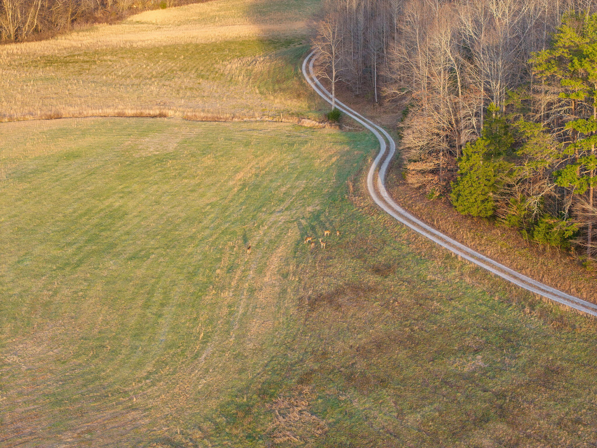 684 Martin Cemetary Road Oneida, KY 40972 - Photo 6 of 96 86-web-or-mls-DJI_20251217163918_0097_D