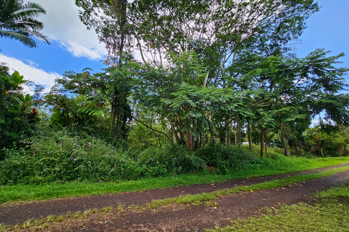 532 Priscilla Road Pahoa, HI 96778 - Photo 2 of 6 a view of a yard with a tree