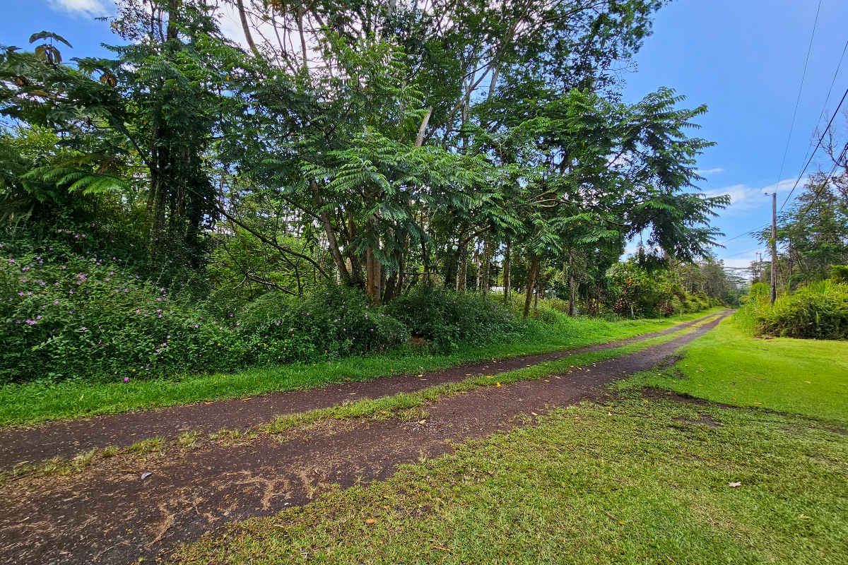 532 Priscilla Road Pahoa, HI 96778 - Photo 3 of 6 a view of a street