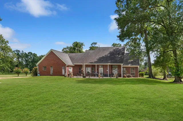 a view of a backyard with large trees