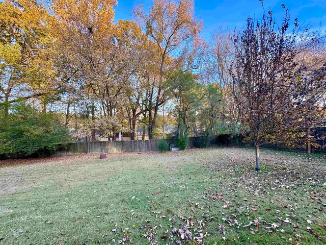 a backyard of a house with lots of green space