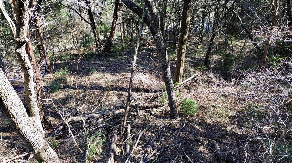 1917 Juniper Ridge Road Cedar Hill, TX 75104 - Photo 19 of 23 a view of a forest filled with trees