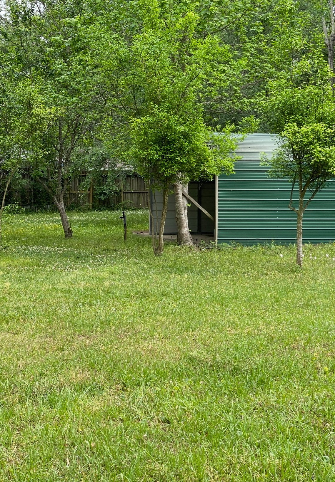 1615 Beech Drive Conroe, TX 77385 - Photo 13 of 14 Large shed in back yard for storage!