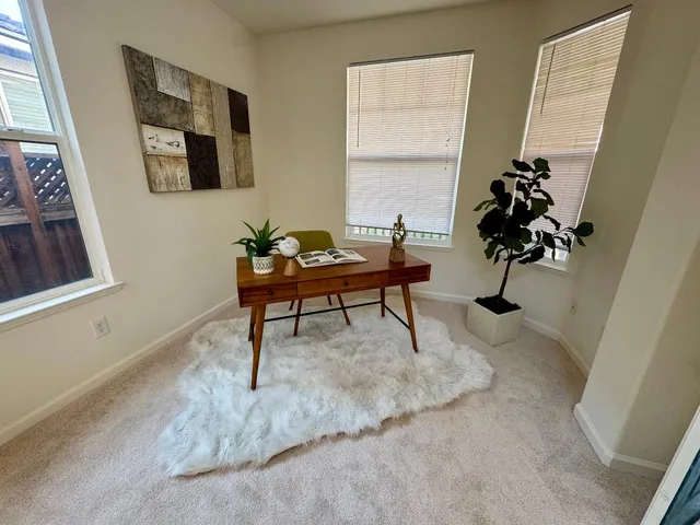 a living room with furniture and a potted plant