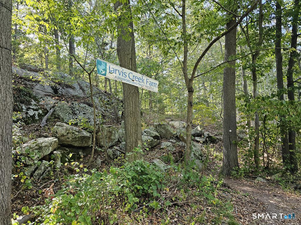 698 Leetes Island Road Branford, CT 06405 - Photo 31 of 33