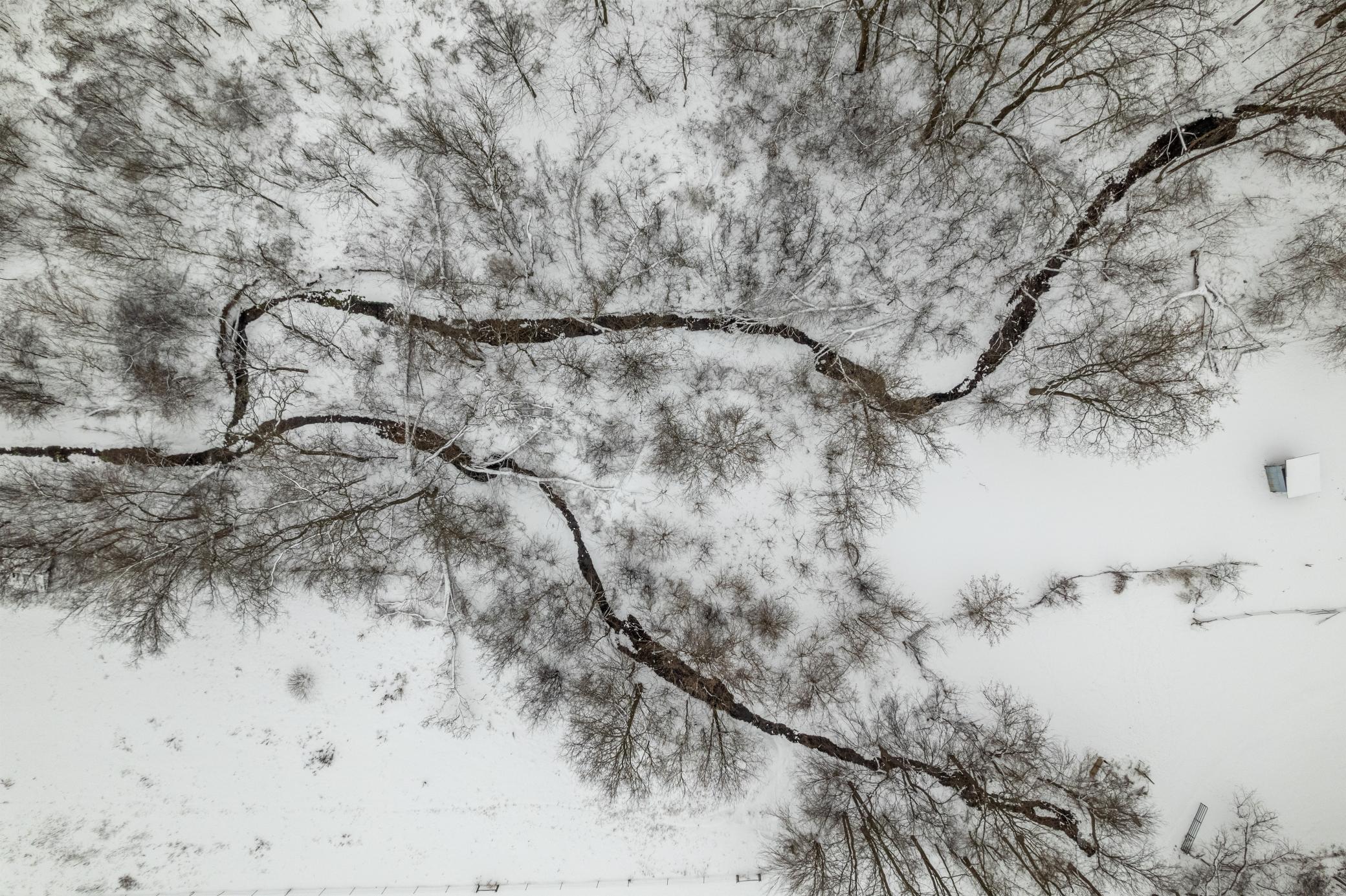 43513 Runaway Road Dakota, MN 55925 - Photo 12 of 15