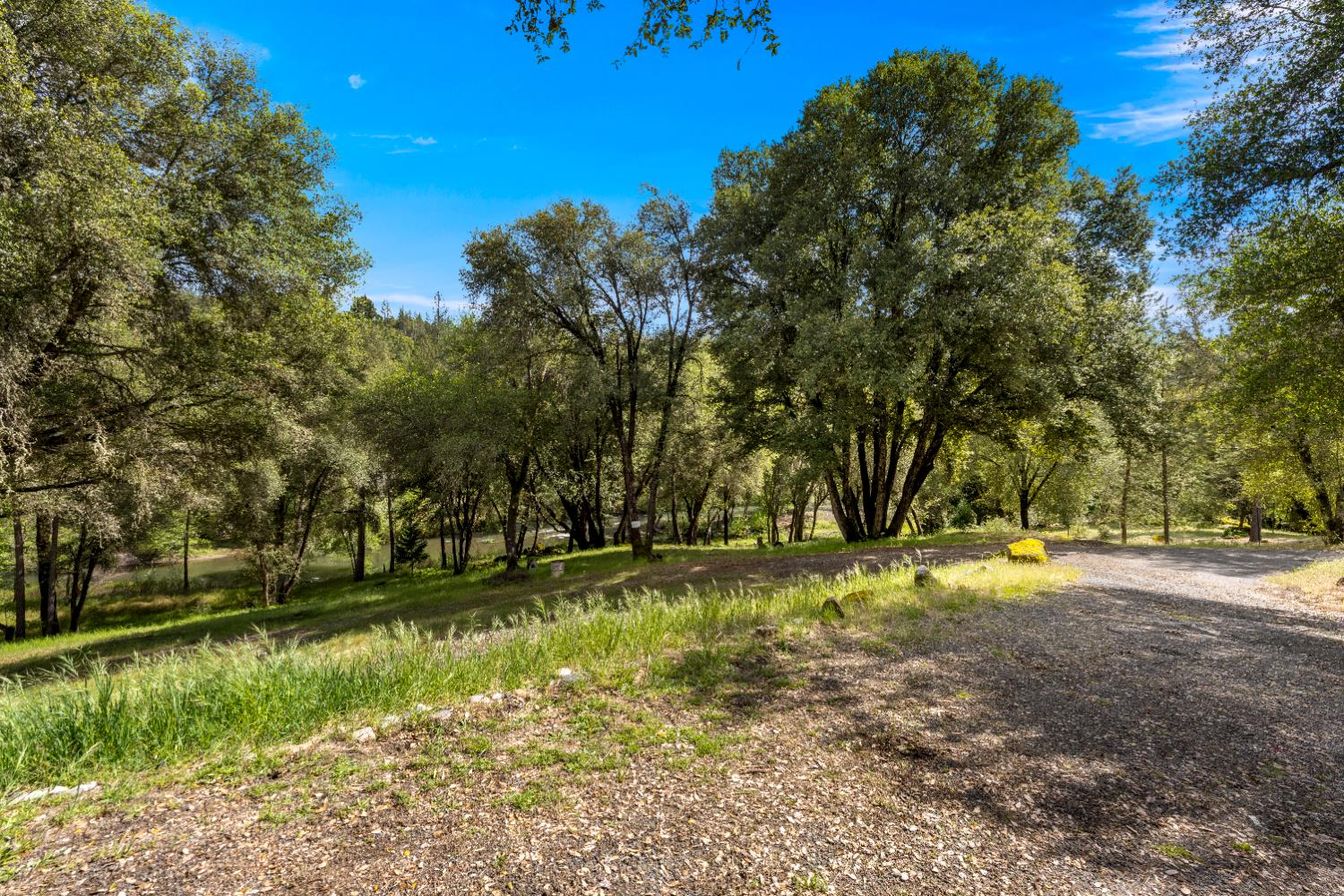 7321 Morning Canyon Road Placerville, CA 95667 - Photo 35 of 39 a view of a yard with a tree