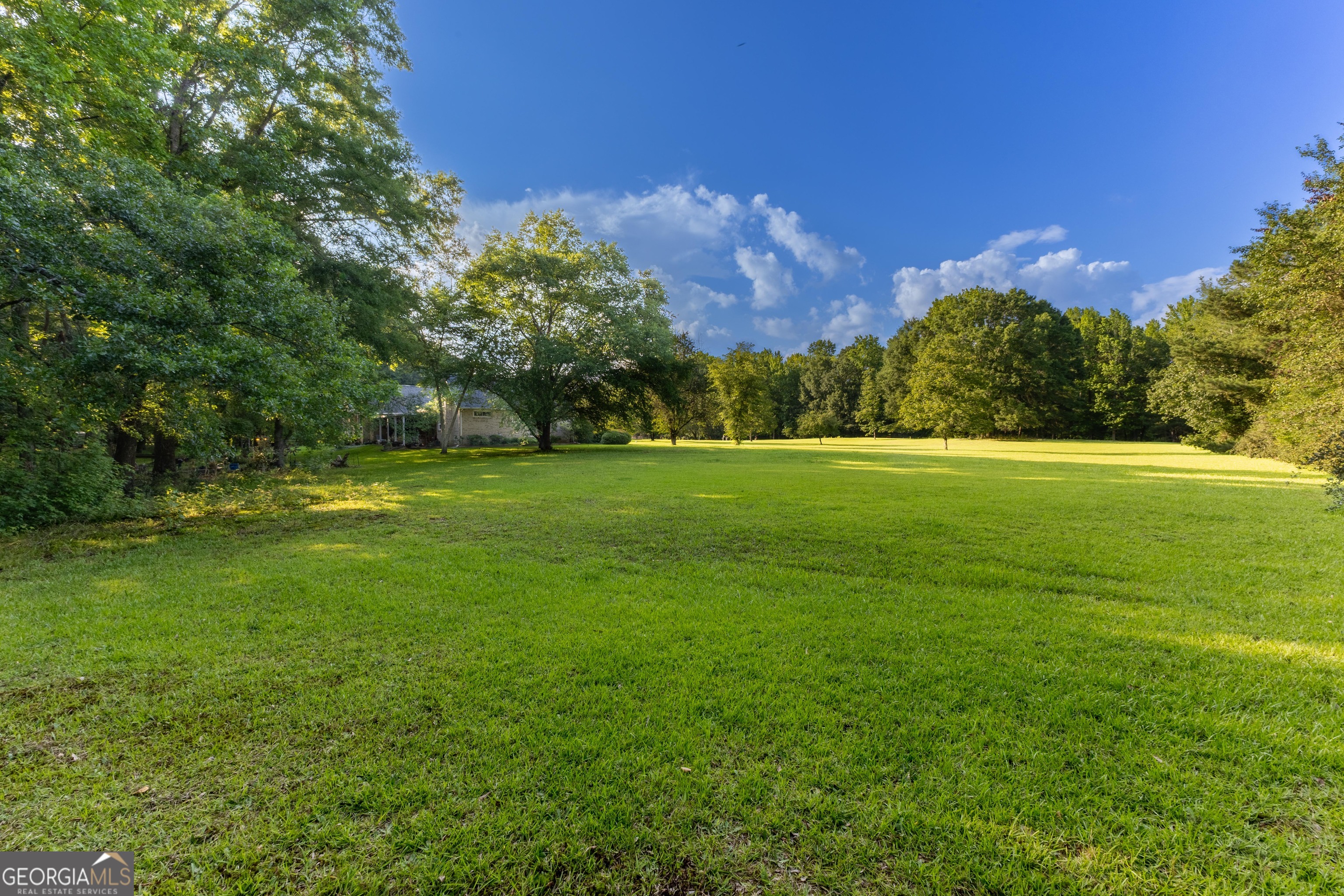 716 Snead Road Fayetteville, GA 30215 - Photo 42 of 55