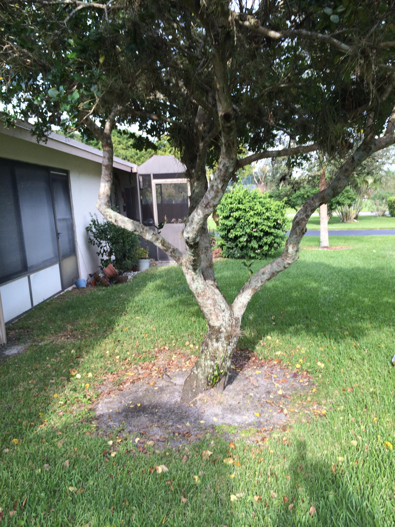 8753 Windrow Way Boca Raton, FL 33496 - Photo 6 of 15 GARDEN VIEW