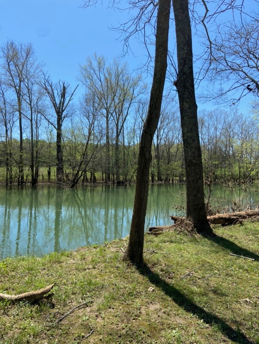 9 Lock 5 Road Lebanon, TN 37087 - Photo 4 of 9 a view of lake
