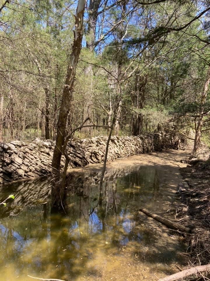 9 Lock 5 Road Lebanon, TN 37087 - Photo 6 of 9 a view of water with a tree