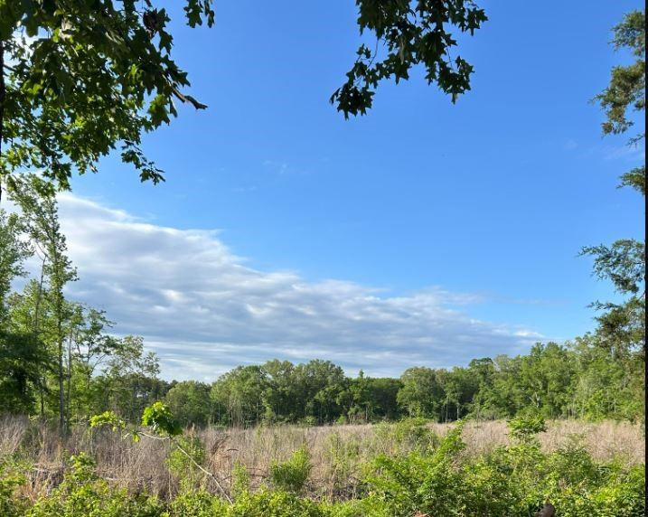 a view of lake with green space