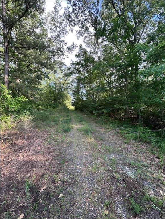 0 Grand Cane Fire Tower Road Grand Cane, LA 71032 - Photo 2 of 7 a view of outdoor space and yard