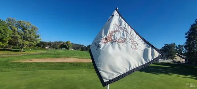 a view of a house with a big yard