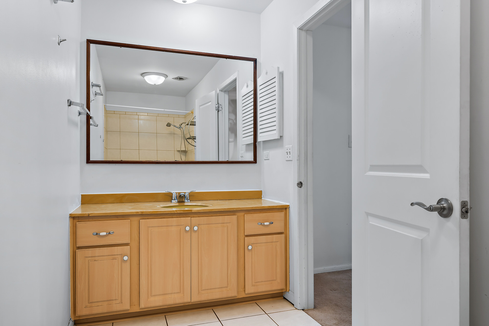 1105 Rhodes Court Wheaton, IL 60189 - Photo 12 of 22 a bathroom with a sink and a mirror