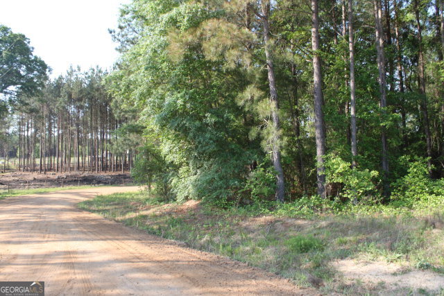 0 J Gibbs Road Vidalia, GA 30474 - Photo 1 of 1 Main View