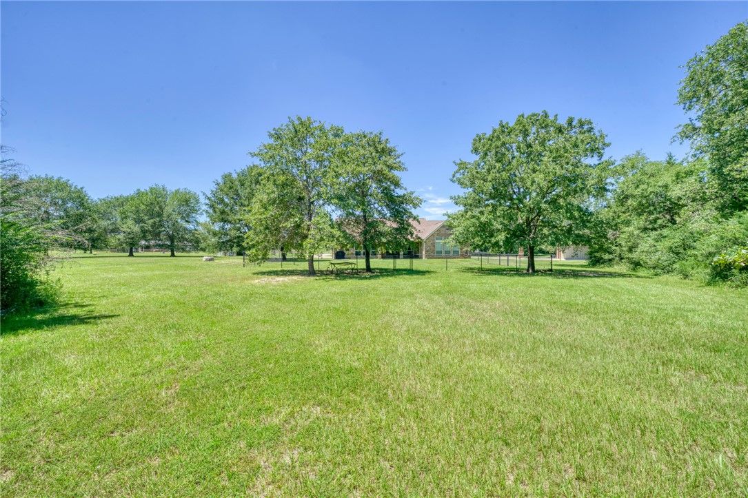 9945 Oxford Cemetery Road Madisonville, TX 77864 - Photo 29 of 42 a view of a green field with trees in the background