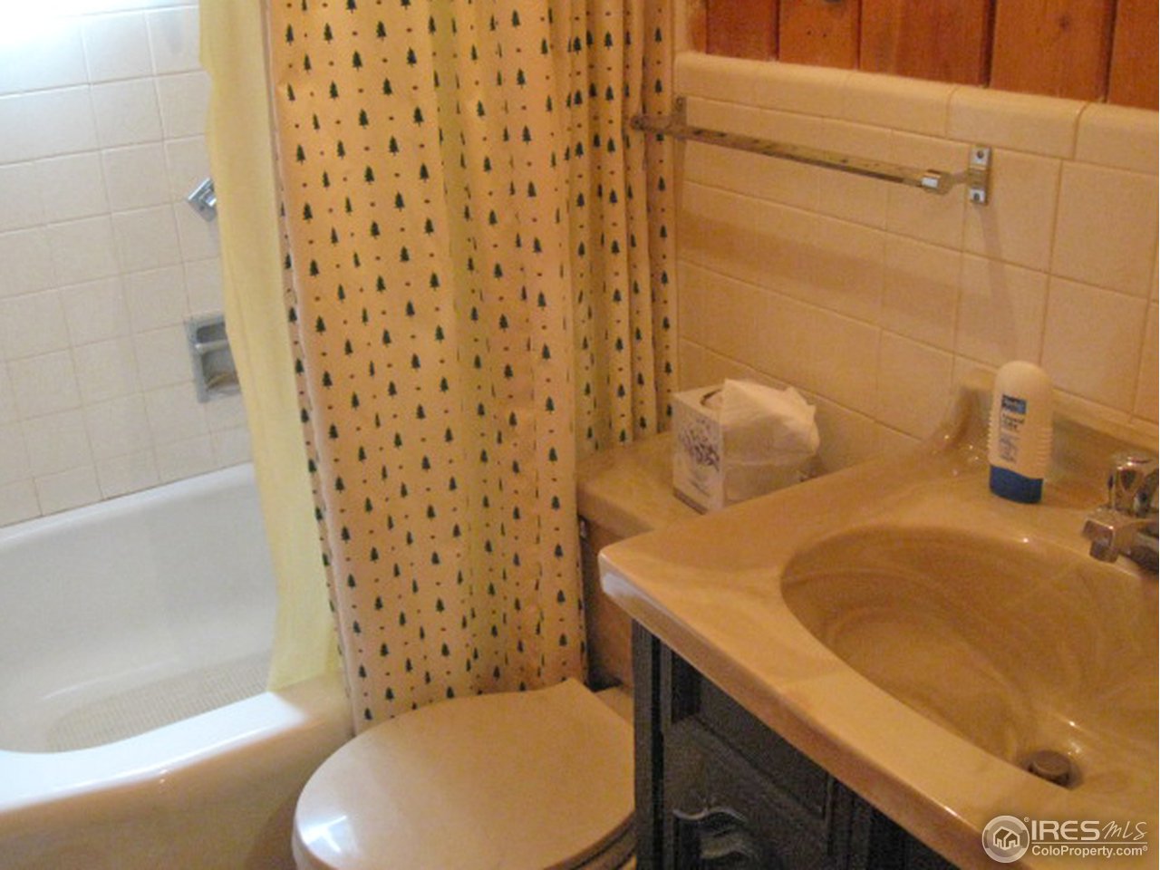 240 Rustic Road Bellvue, CO 80512 - Photo 10 of 16 bath