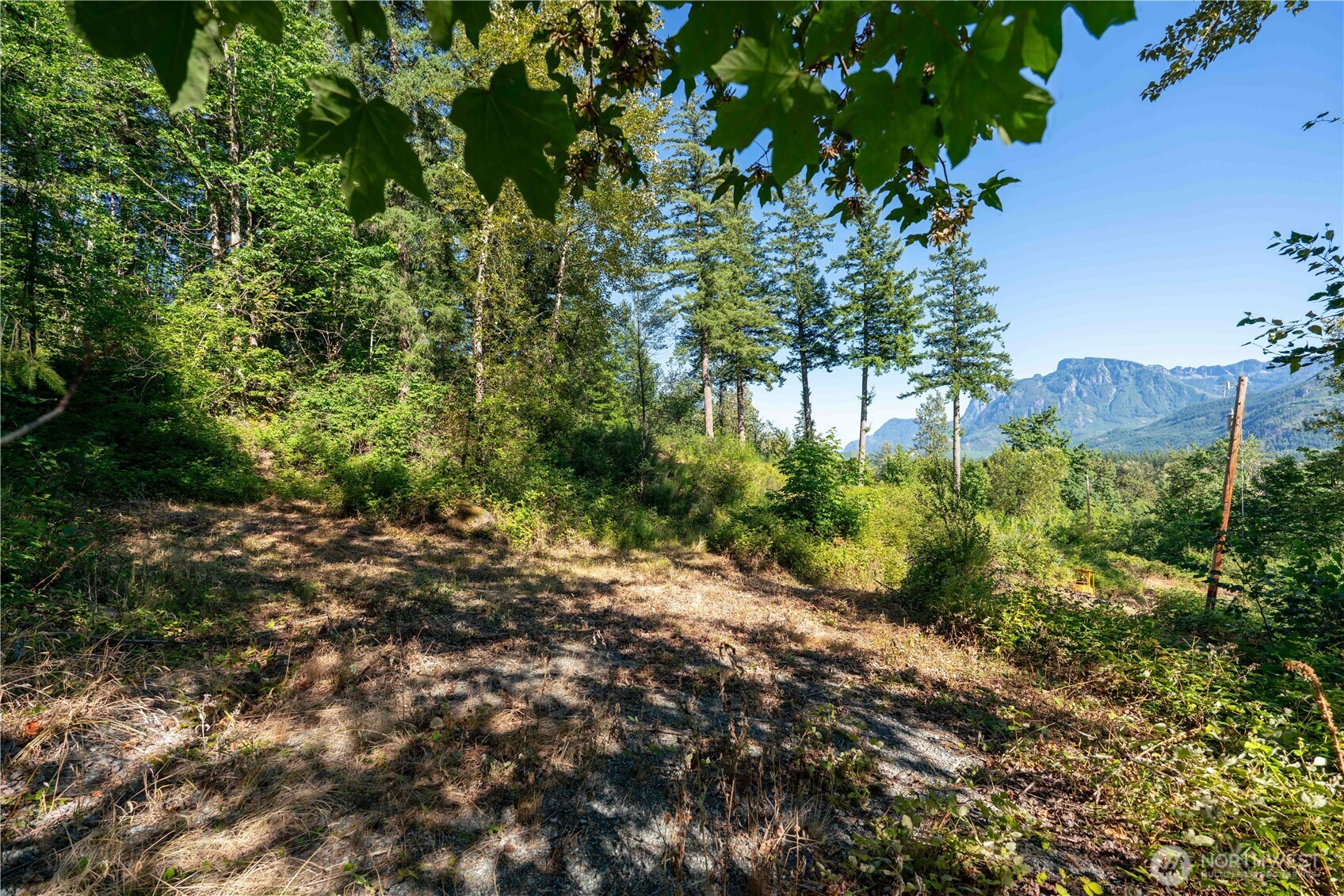 14405 Whiteman Road Gold Bar, WA 98251 - Photo 3 of 37