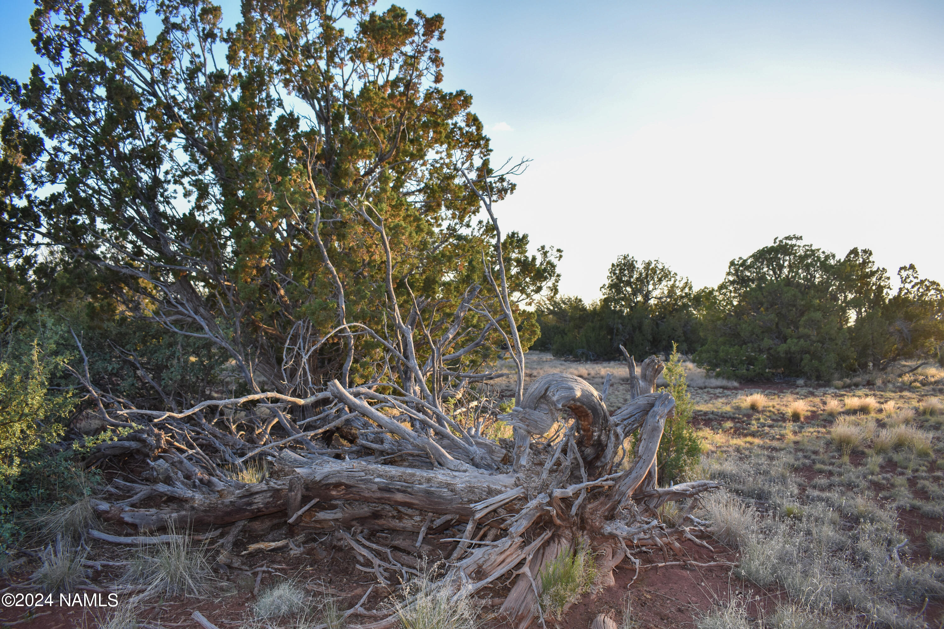 604 South Spruce Road, Unit 366 Williams, AZ 86046 - Photo 9 of 10 View