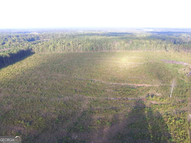 a view of an ocean from a yard