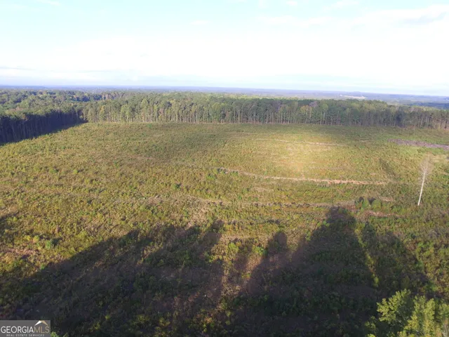 a view of lake and mountain