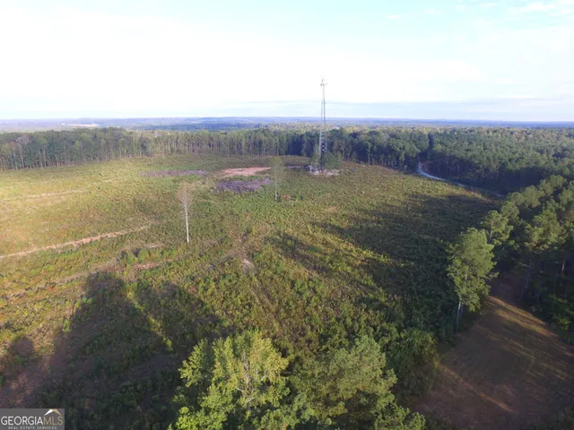 a view of a lake with a mountain