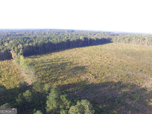 a view of lake and mountain