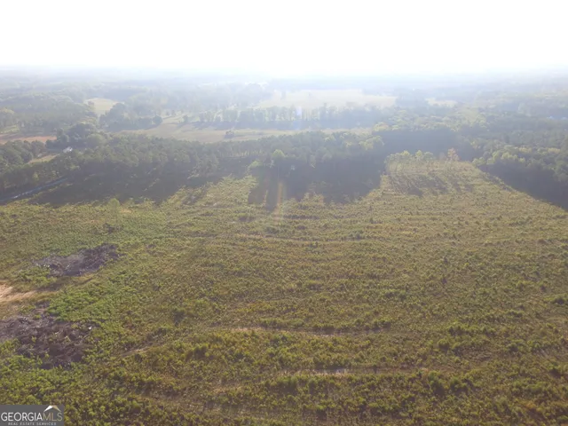 a view of a lake with a city