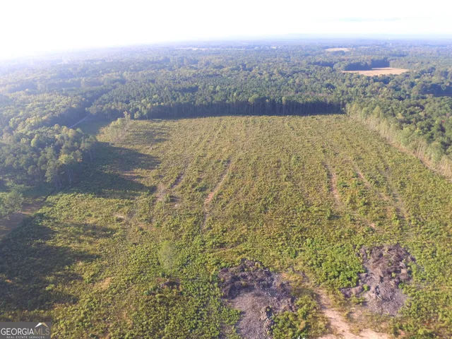 a view of a yard of a building