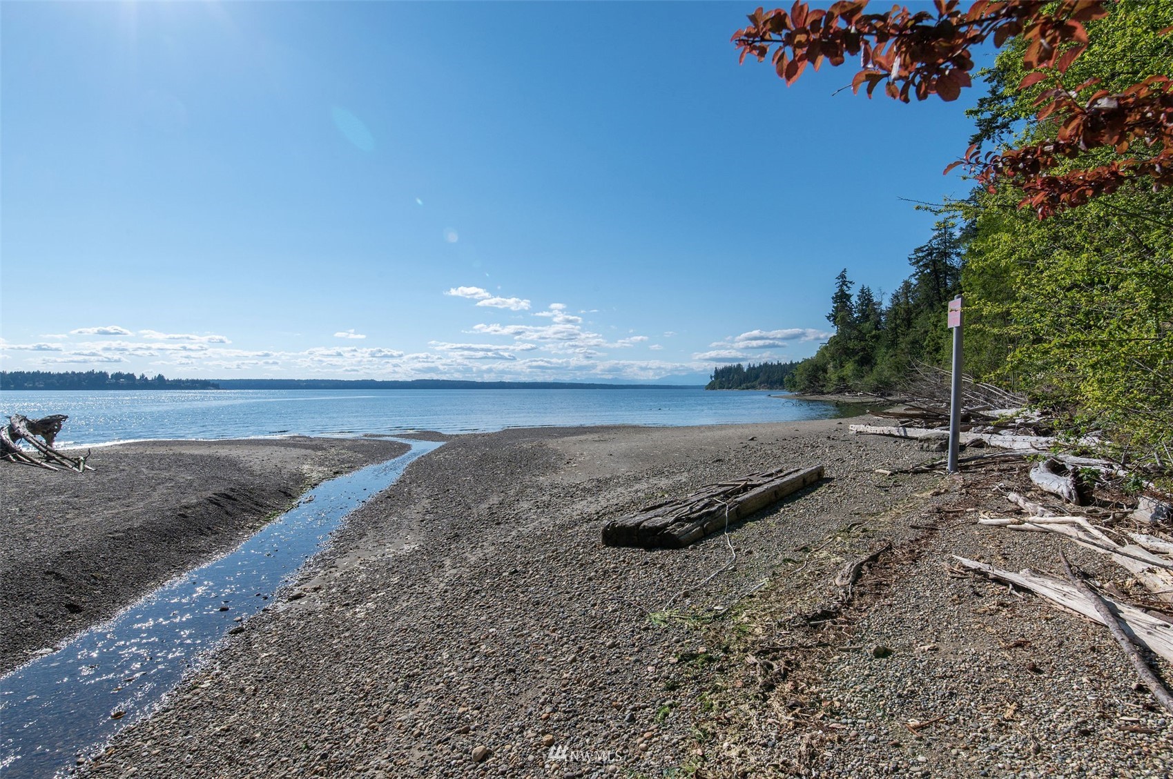 17510 88th Street Southwest Longbranch, WA 98351 - Photo 6 of 40 a view of a dry yard with wooden fence