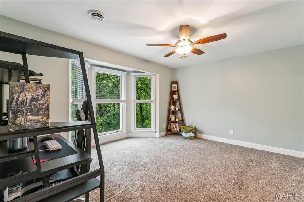 8 Howe Crossing Festus, MO 63028 - Photo 29 of 42