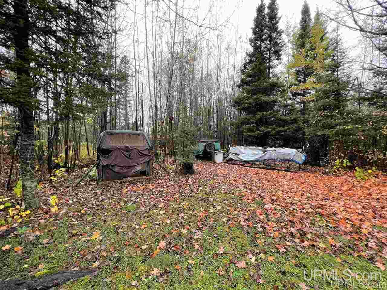 30662 Co Road Cornell, MI 49818 - Photo 26 of 42