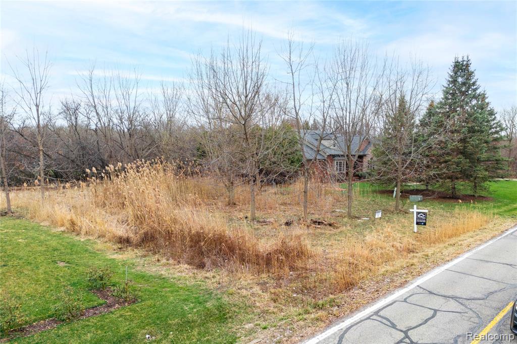 129 Meridian Road Dearborn, MI 48124 - Photo 6 of 9