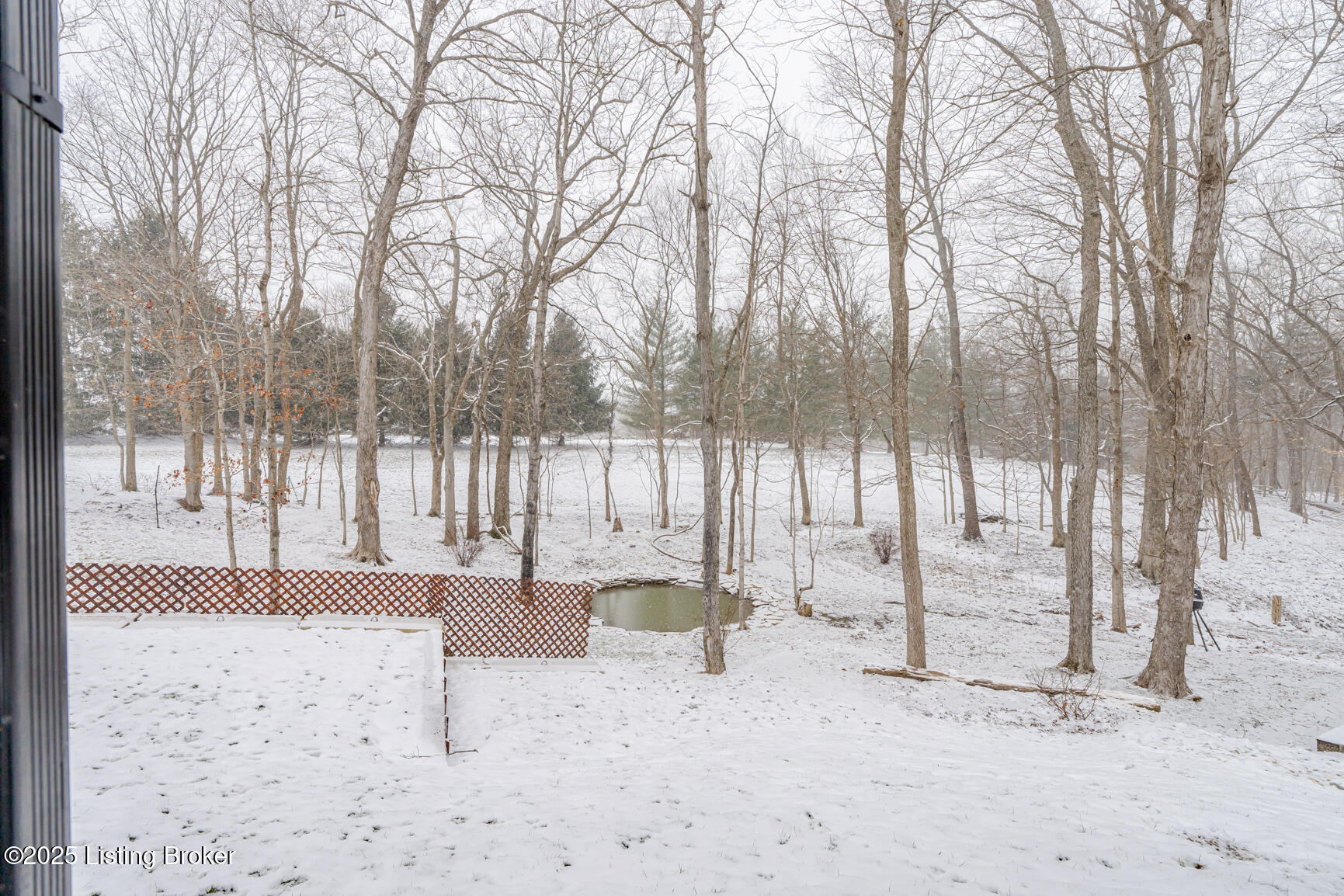 211 Owl Ridge Road Shelbyville, KY 40065 - Photo 59 of 62 Yard