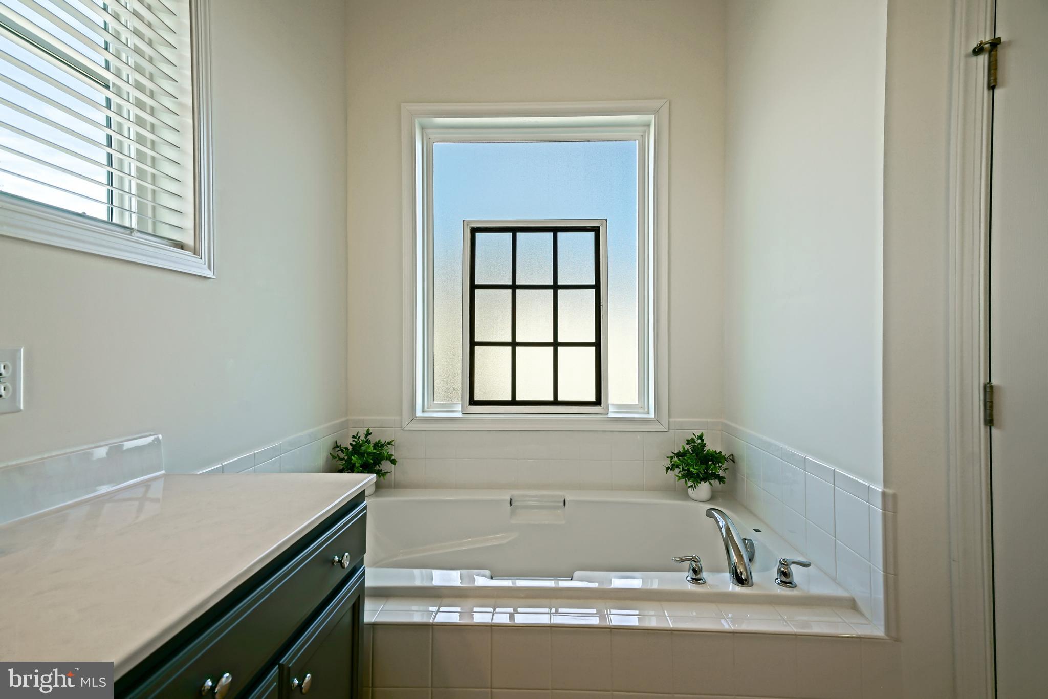 36903 Crossrail Way Lewes, DE 19958 - Photo 51 of 120 a bath tub sitting next to a window